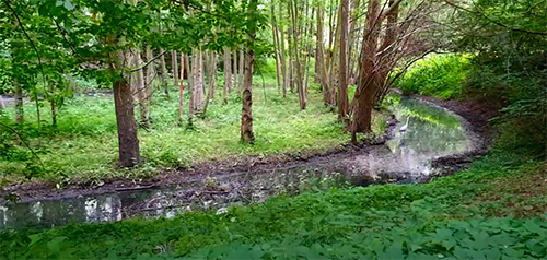 natur pur