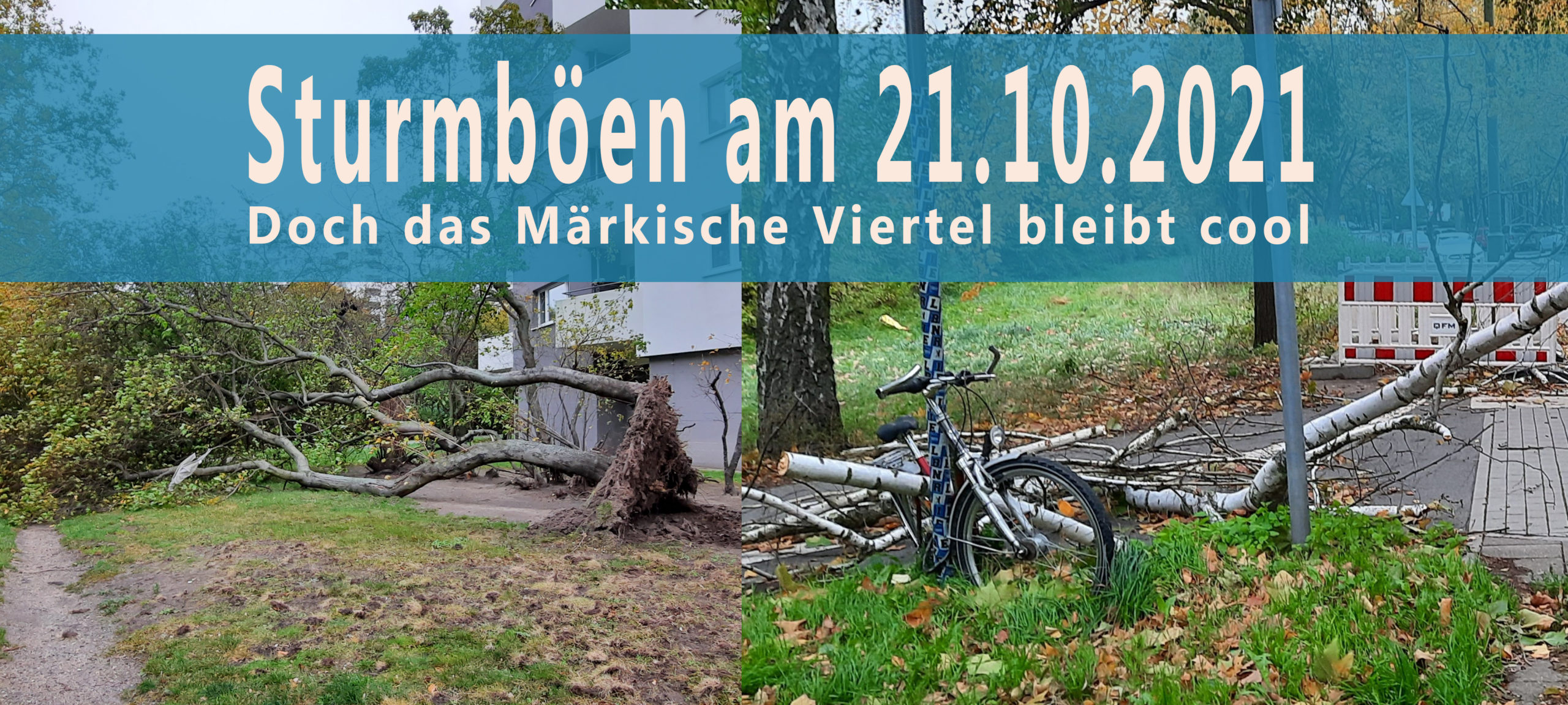sturm
