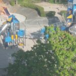 Leserbeitrag