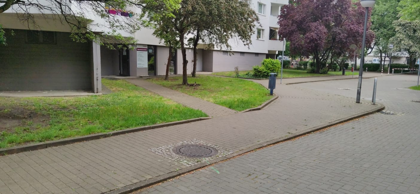 entenrettung
