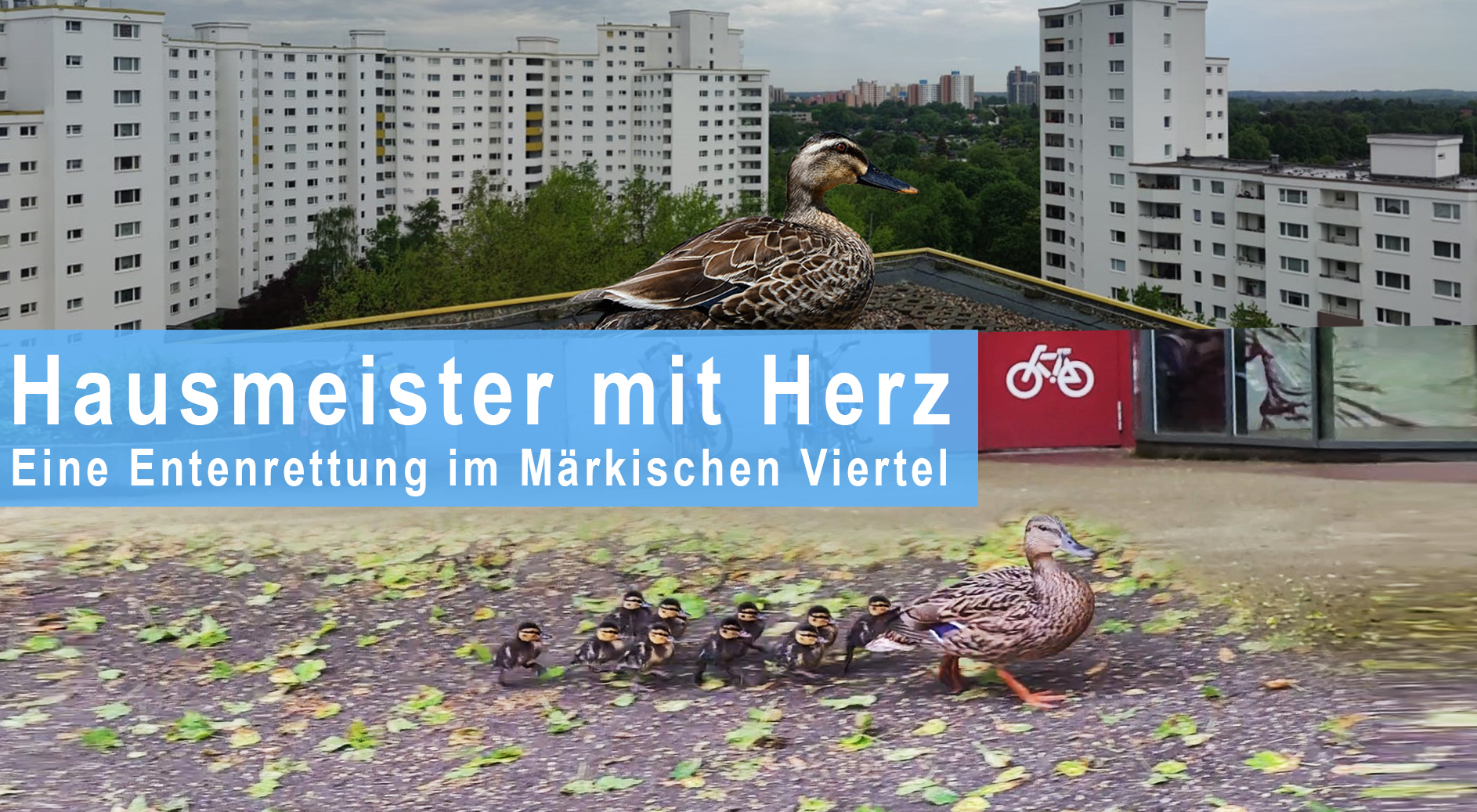 entenrettung