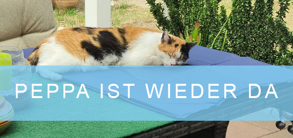 leserbeitrag