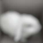 tempFileForShare_20220824-201443-01.jpeg