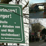 leserbeitrag