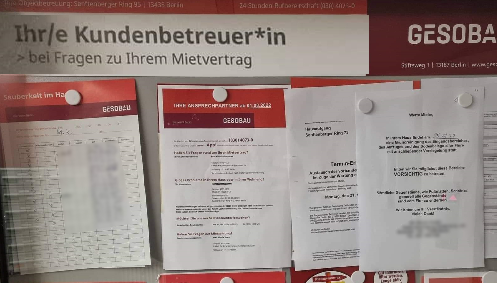 leserbeitrag