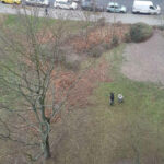 leserbeitrag