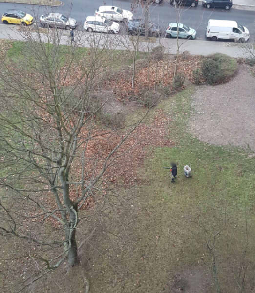 leserbeitrag