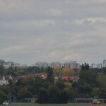 leserbeitrag