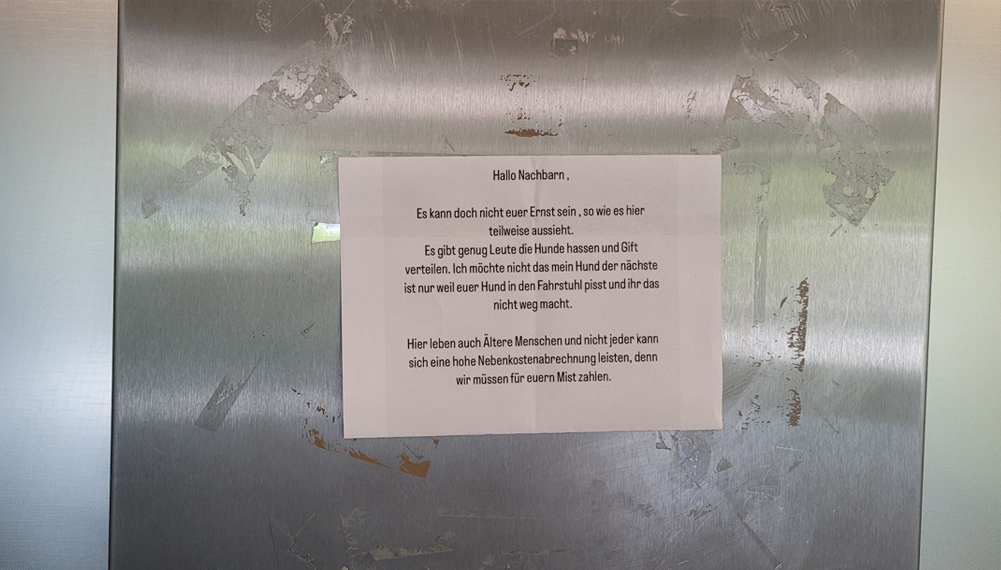 KI-MV-Berichterstatter