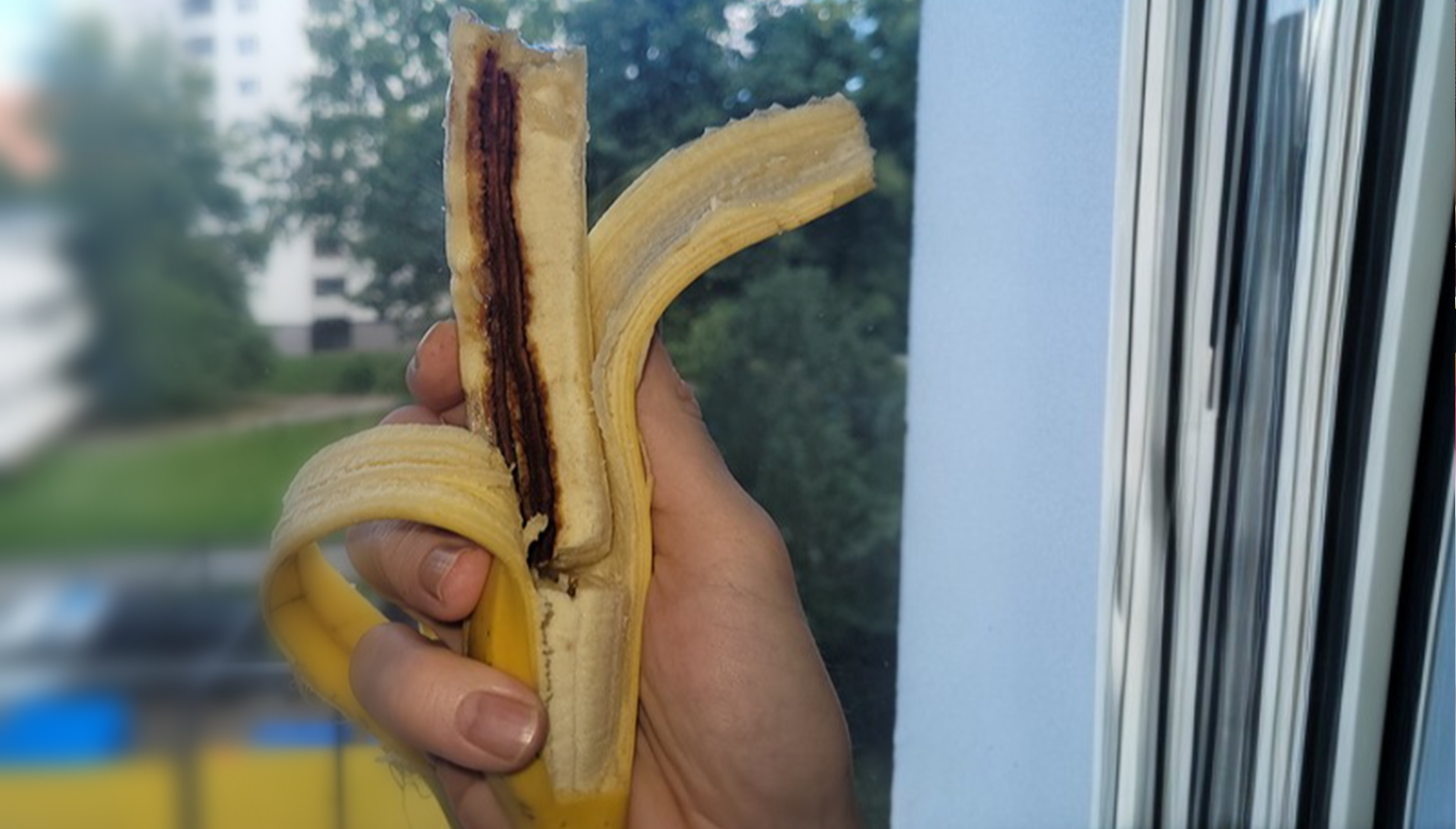 Banane18723 bananen