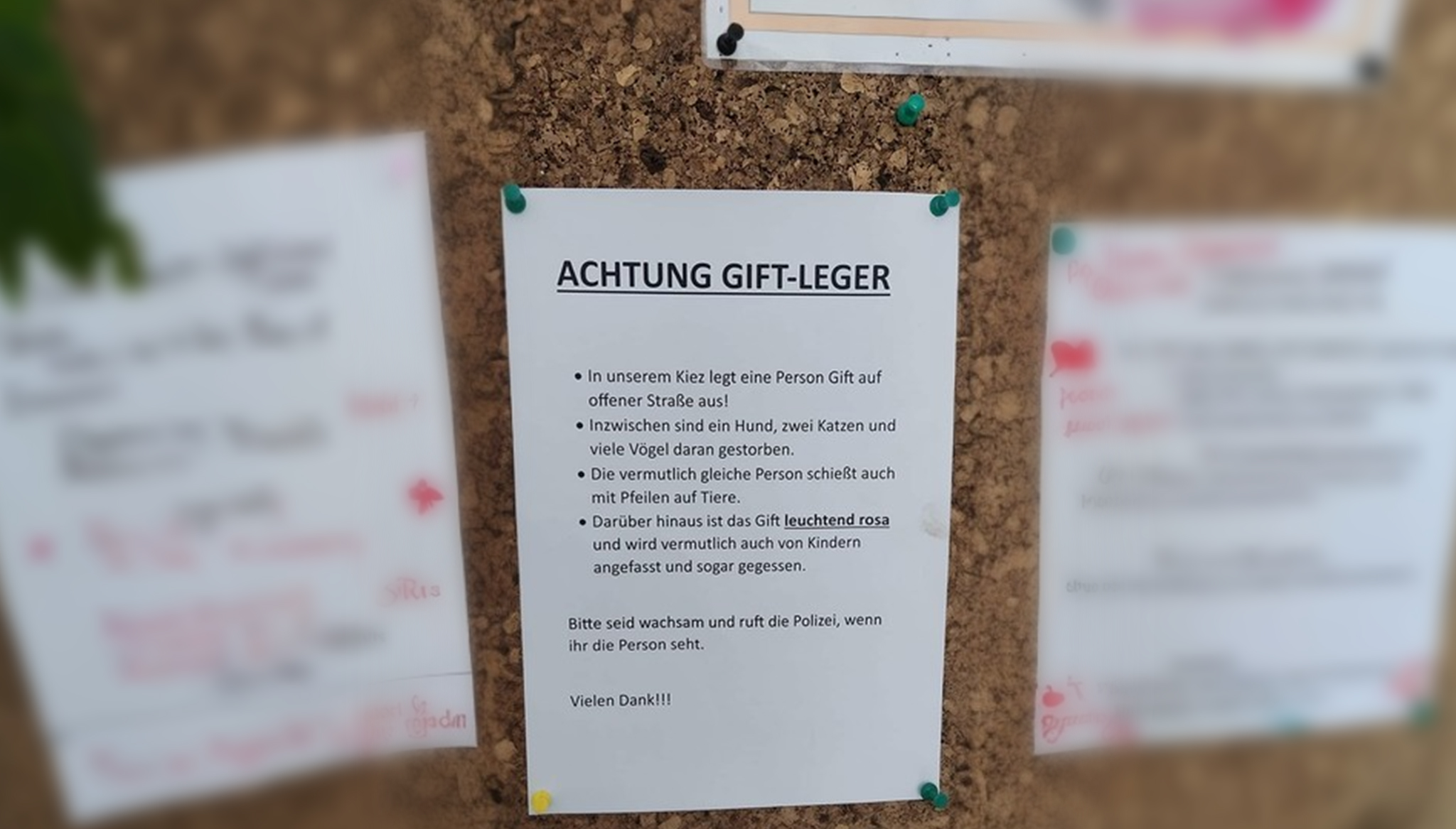 giftkoeder7723 gift