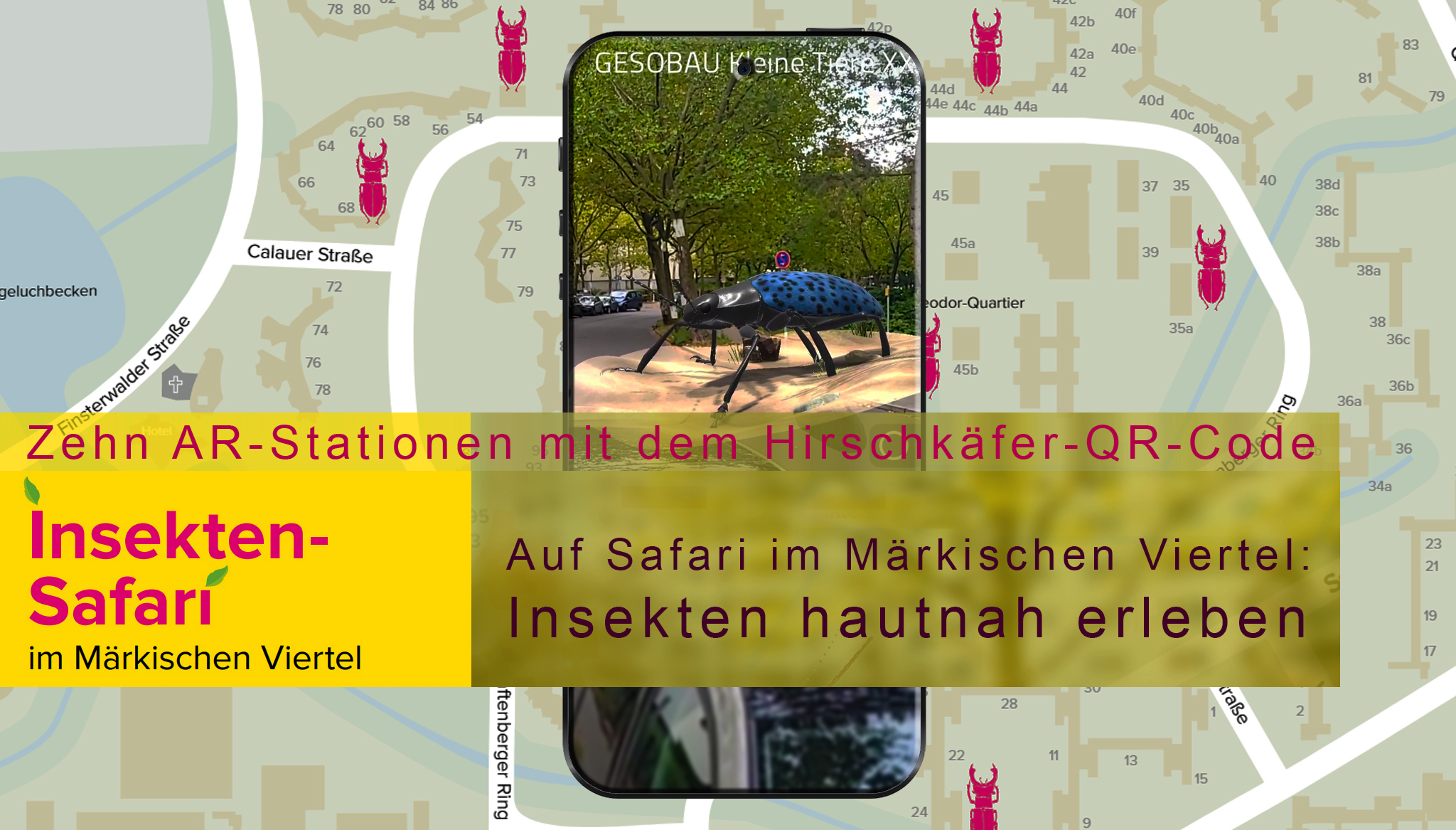 insekten gesobau