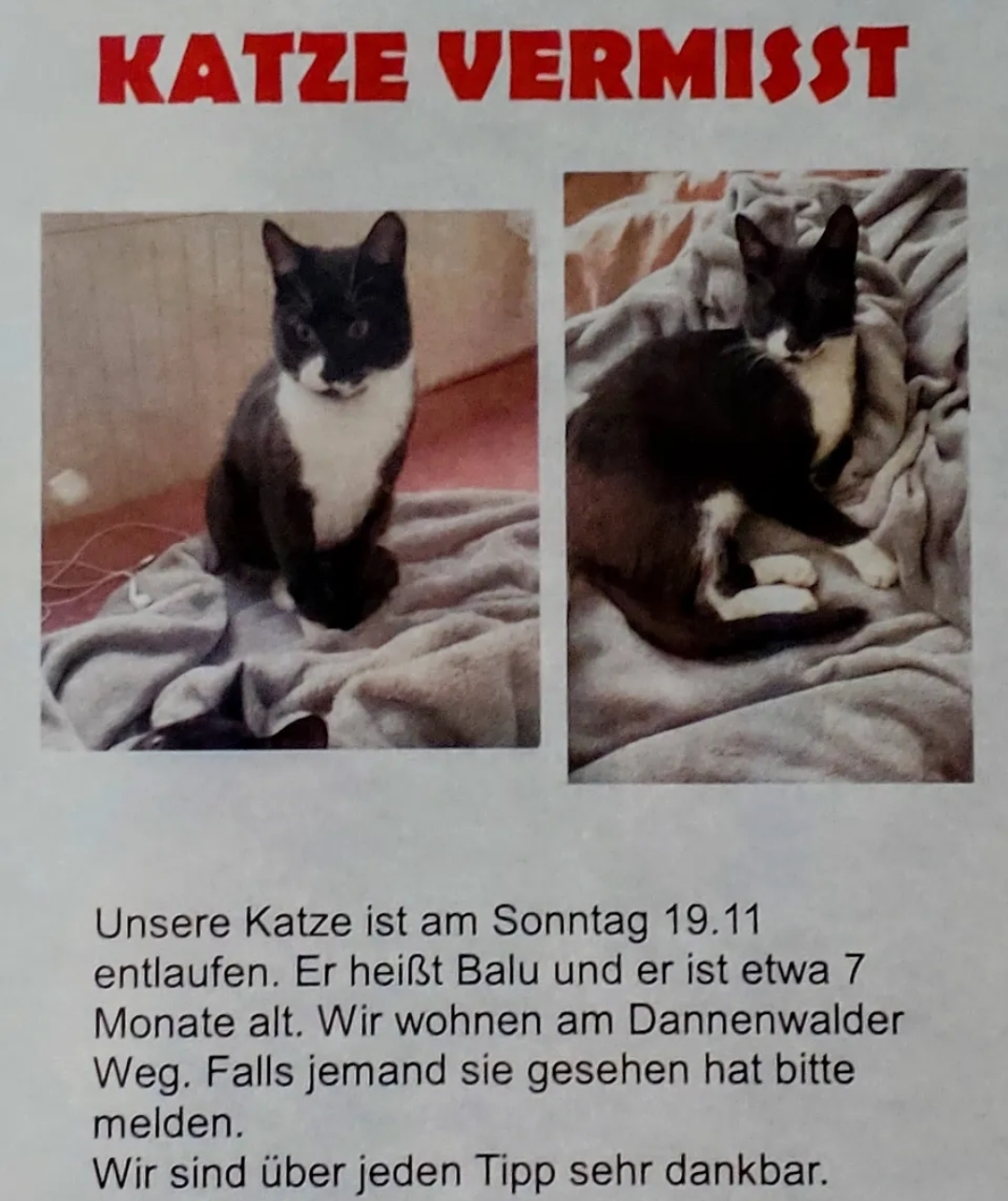 Vermisst
