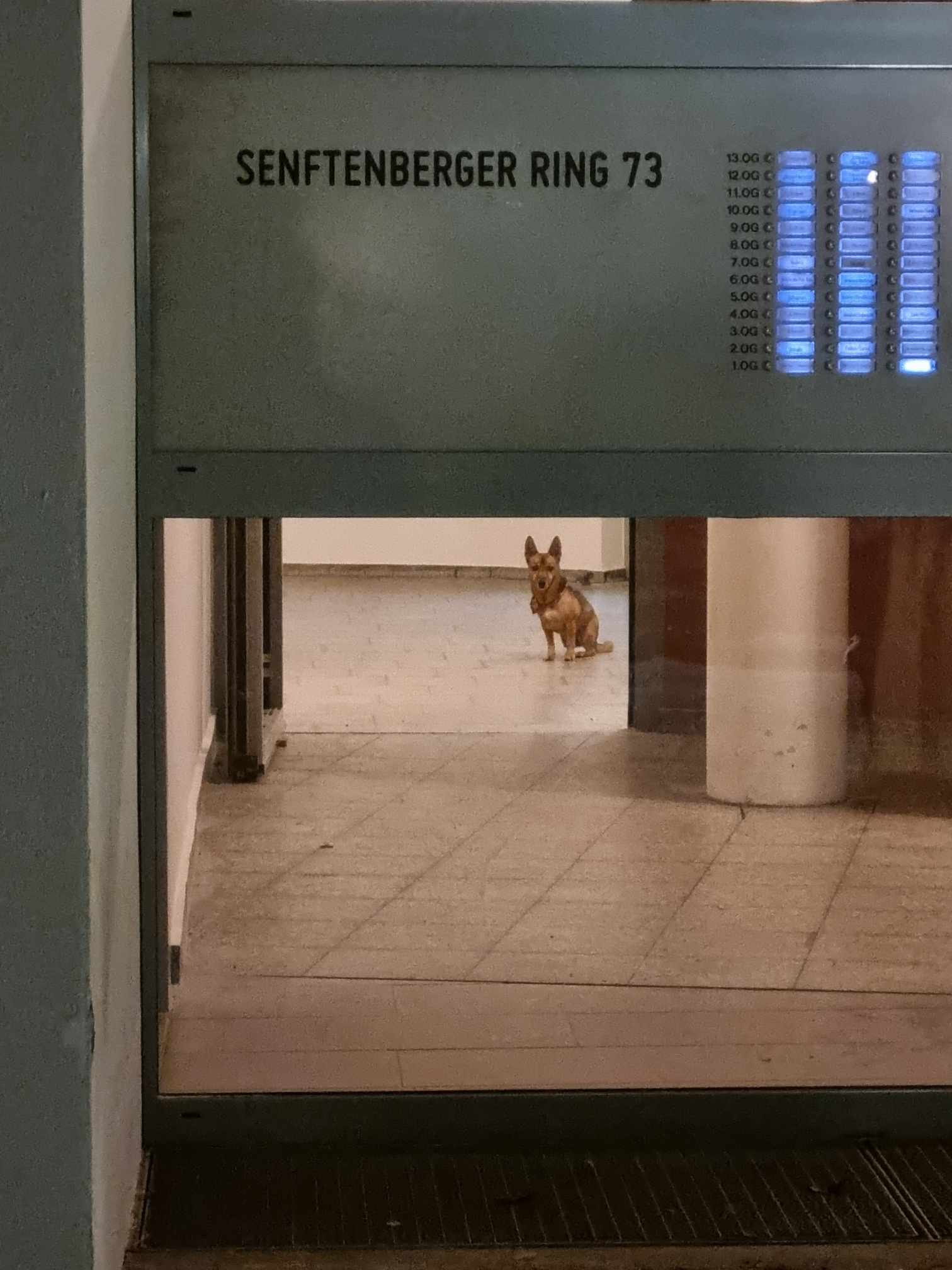 Feuerwerk