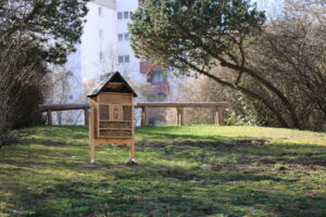 blumenbeet bienen blumenwiese