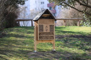 blumenbeet bienen blumenwiese