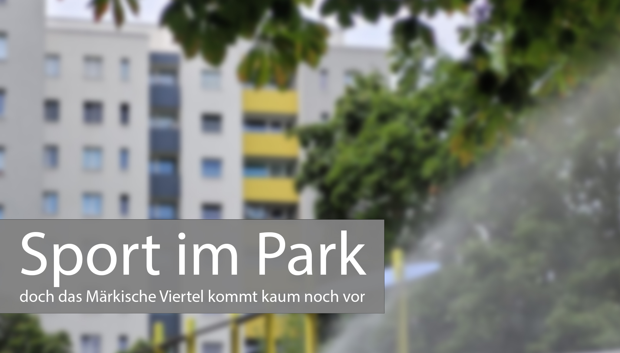 sport im park