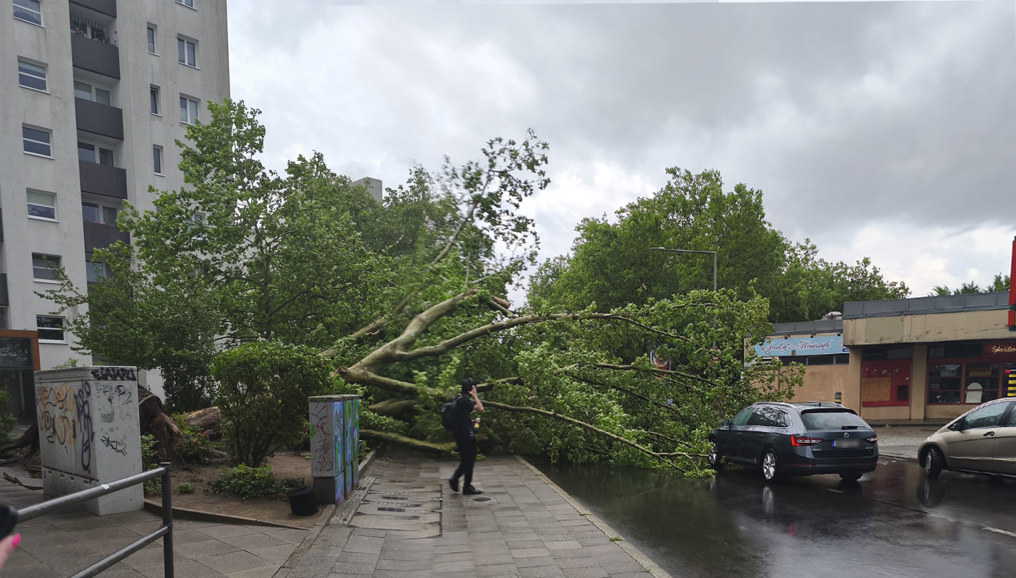 meldung baum sturm