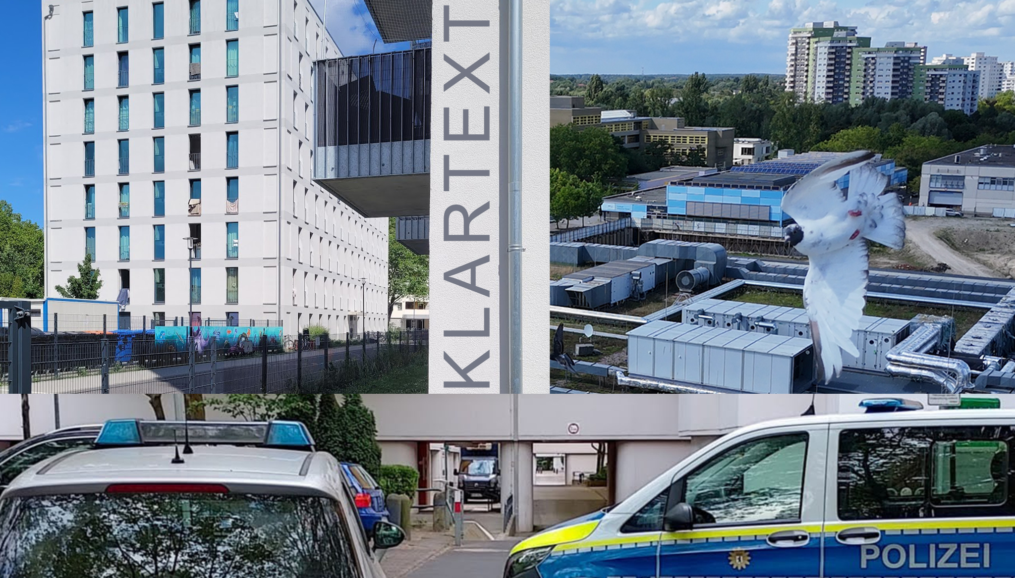 klartext politik medien spaltuung