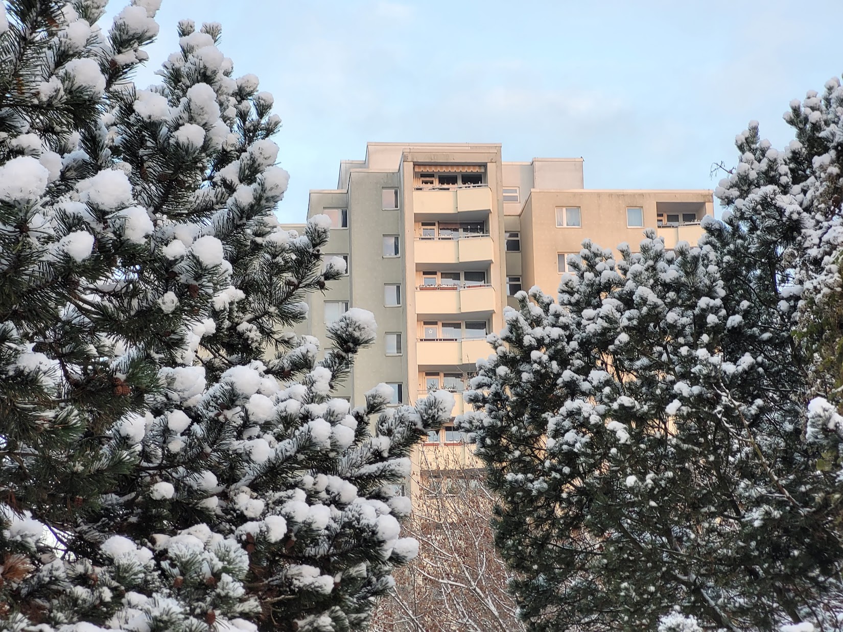 winter schnee