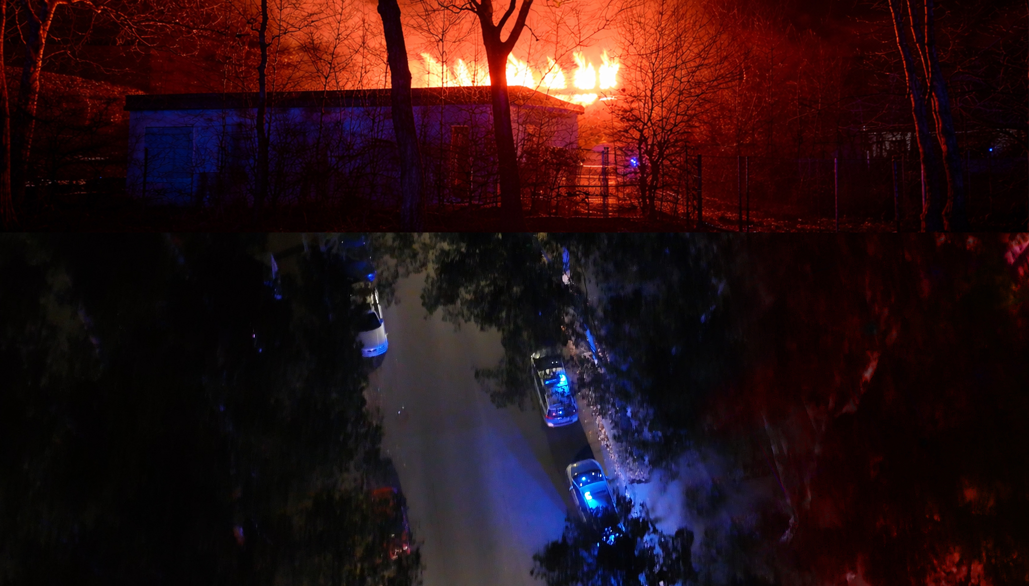 feuertre brand feuer
