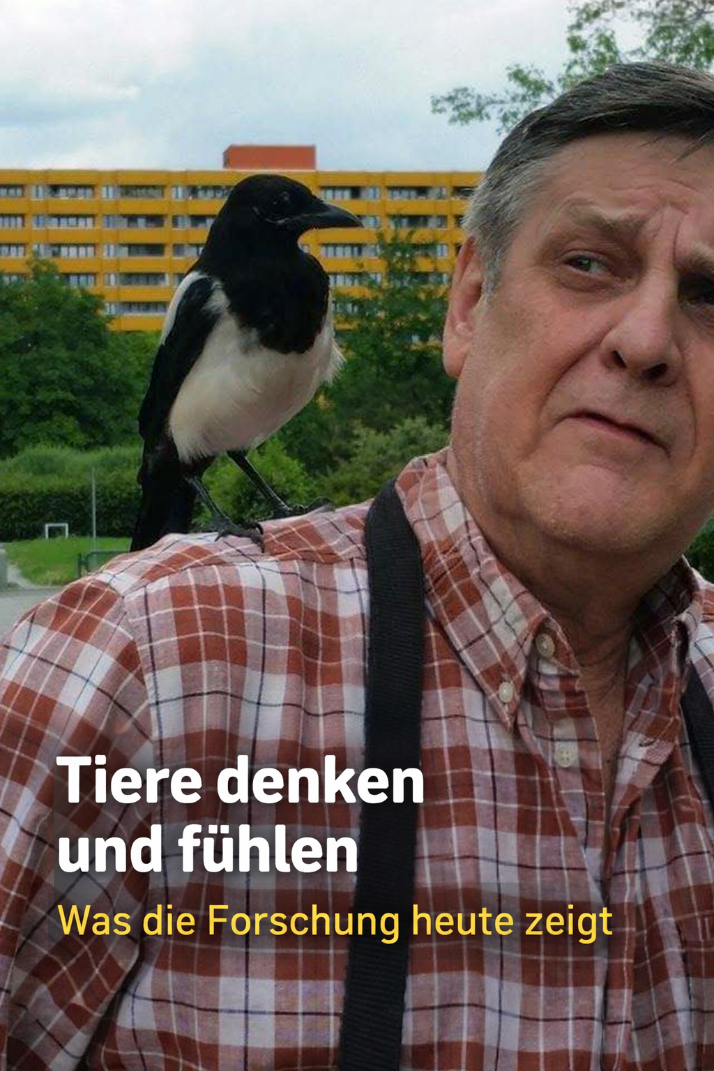 tiere denken fühlen